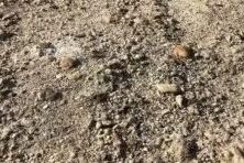 Spálený betón - takto sa proti nemu chrániť