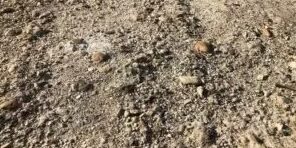 Spálený betón – takto sa proti nemu chrániť Spálený betón - takto sa proti nemu chrániť